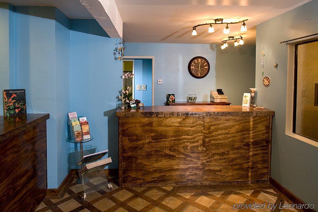 אוחאי Hummingbird Inn מראה פנימי תמונה